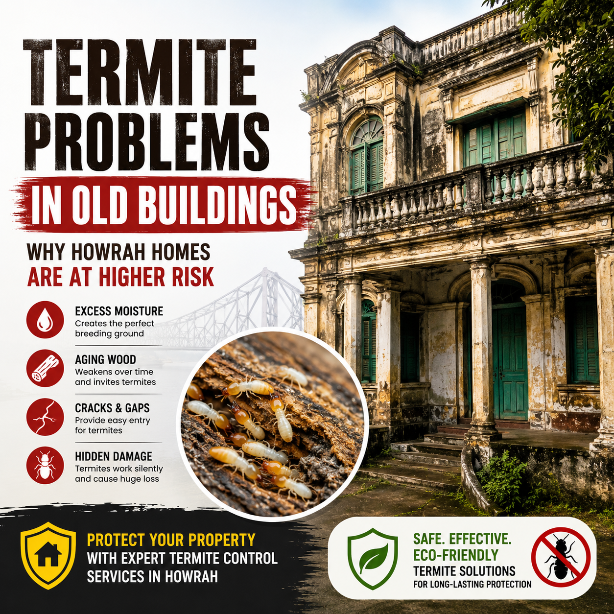 termite problems in old buildings
